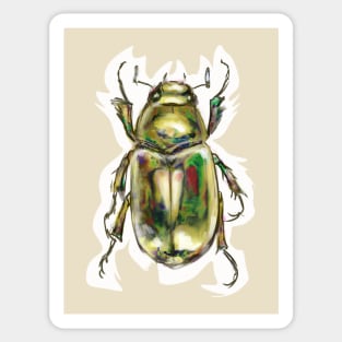 Golden Scarab Beetle Sticker